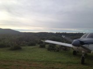 1162 87i. Theresa Q's (small) pictures - N8377W at Red Creek