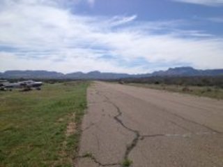 Theresa Q's (small) pictures - Grapevine