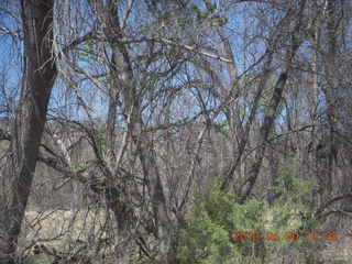 Double Circle Ranch at Eagle Creek - airplanes and tents
