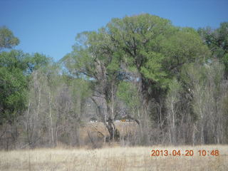 Double Circle Ranch at Eagle Creek - landing airplane
