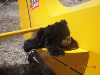 Double Circle Ranch at Eagle Creek - cub on a Cub