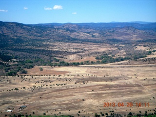 Double Circle Ranch at Eagle Creek - tree