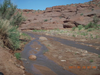 Onion Creek drive