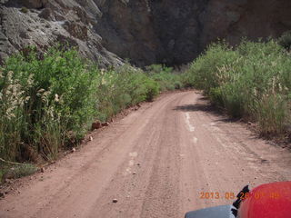 Onion Creek drive