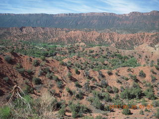 Onion Creek drive