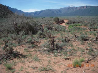 Onion Creek drive