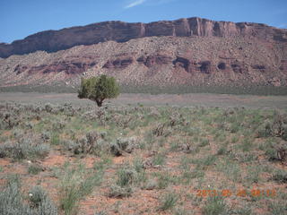 Onion Creek drive