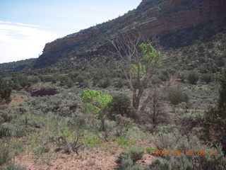 Onion Creek drive
