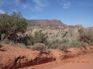 Onion Creek drive