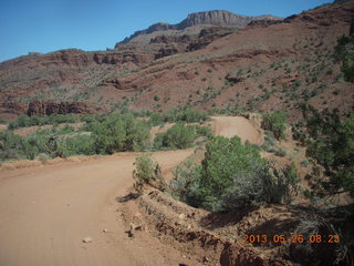 Onion Creek drive