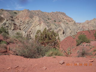 Onion Creek drive