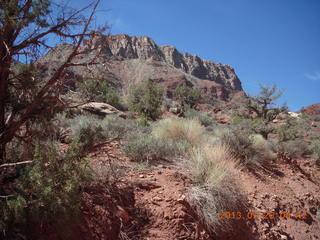Onion Creek drive