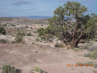 Moab - Kane Creek Road