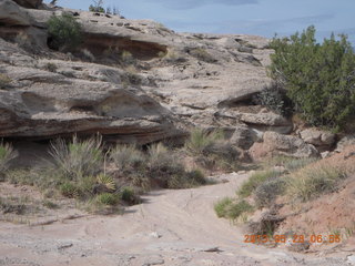 Caineville Wash Road