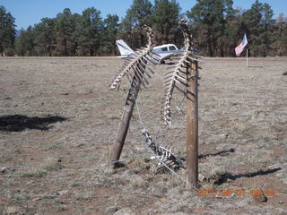 Negrito work party - spine sculpture