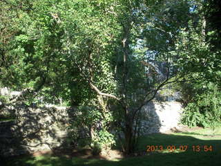469 8d8. Betsy's trees