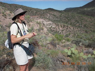 Elephant Mountain hike - Beth