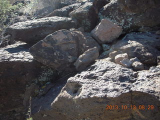 Brown's Ranch run - Pinnacle Peak