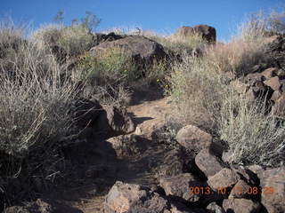 Brown's Ranch run - summit