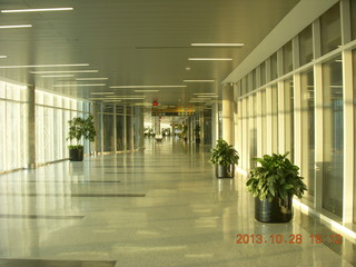 long stroll at Houston (IAH)