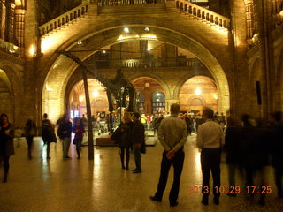 London Natural History Museum - insects