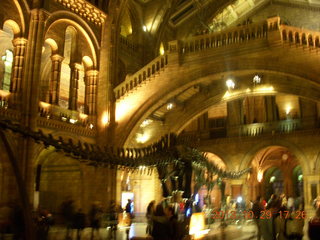 90 8ev. London Natural History Museum