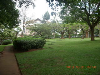 Kampala Sheraton run - large strange bird