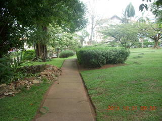 Kampala Sheraton run - large strange bird