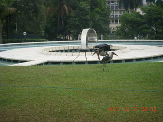 Kampala Sheraton run - pond