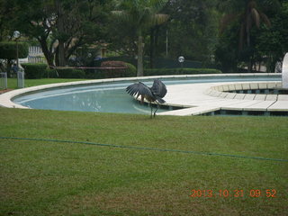 Kampala Sheraton run - pond