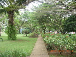 Kampala Sheraton run - large strange bird