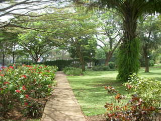 Kampala Sheraton run - strange bird