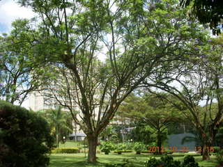 Kampala Sheraton run - strange bird