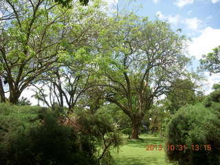 Kampala Sheraton run - strange, long-billed bird