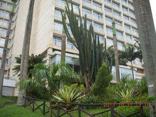 Kampala Sheraton run - large strange bird