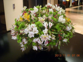 12 8f1. Uganda - Kampala - Sheraton - flowers