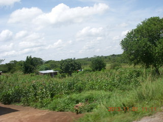 Uganda - drive north to Chobe Sarari Lodge