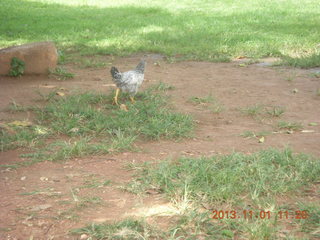 Uganda - drive north to Chobe Sarari Lodge - Adam and local cola