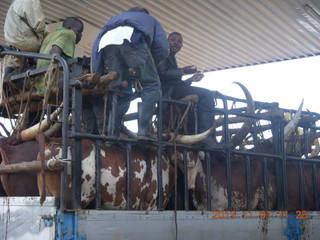 Uganda - drive north to Chobe Sarari Lodge - local store selection