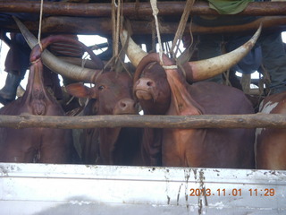 Uganda - drive north to Chobe Sarari Lodge - local store selection