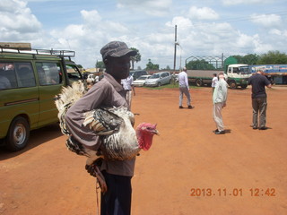 97 8f1. Uganda - drive north to Chobe Sarari Lodge