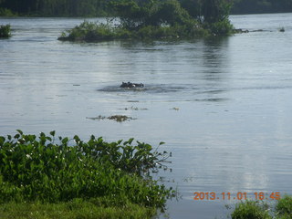 Uganda - Chobe Sarari Lodge - Nile River