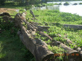 164 8f1. Uganda - Chobe Sarari Lodge