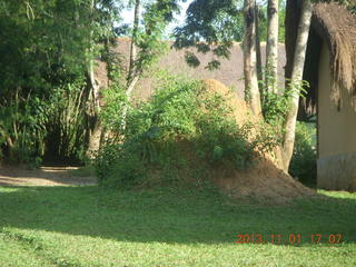 Uganda - Chobe Sarari Lodge - termite mound