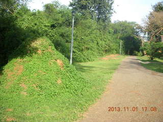 Uganda - Chobe Sarari Lodge - termite mound