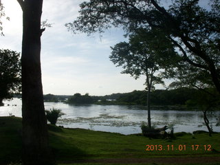 Uganda - Chobe Sarari Lodge - baboon