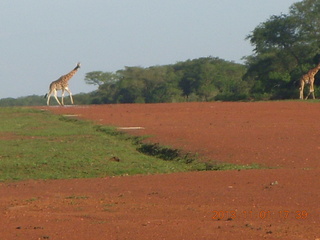 Uganda - Chobe Sarari Lodge