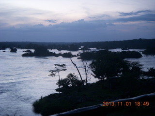 Uganda - Chobe Sarari Lodge - giraffes at airstrip