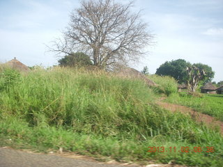 Uganda - drive to Murcheson Falls National Park