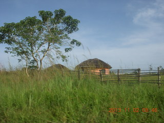 Uganda - drive to Murcheson Falls National Park